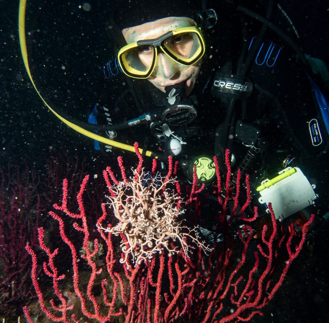 Fabio Venegoni in immersioni mentre osserva una stella gorgona sopra una paramuricea.